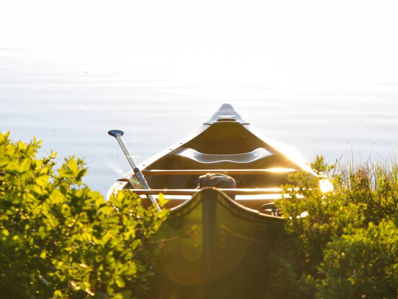 feedback screenshot 2